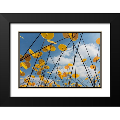 Yellow Disks I Black Modern Wood Framed Art Print with Double Matting by Carlier, Dick