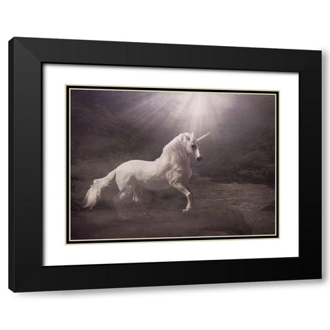 Unicorn Black Modern Wood Framed Art Print with Double Matting by Babette