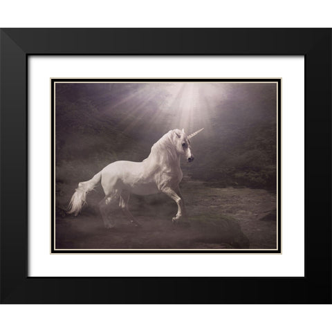 Unicorn Black Modern Wood Framed Art Print with Double Matting by Babette