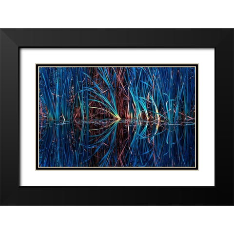 Blue Grass Black Modern Wood Framed Art Print with Double Matting by Kostka, Vladimir