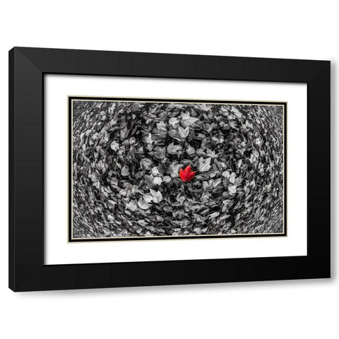 Red Leaf Black Modern Wood Framed Art Print with Double Matting by Kostka, Vladimir