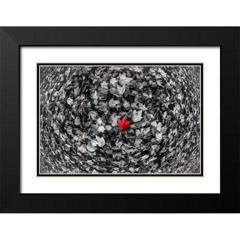 Red Leaf Black Modern Wood Framed Art Print with Double Matting by Kostka, Vladimir