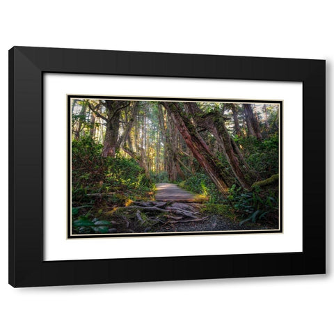 Woods I Black Modern Wood Framed Art Print with Double Matting by Kostka, Vladimir