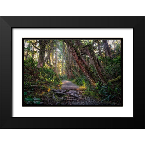 Woods I Black Modern Wood Framed Art Print with Double Matting by Kostka, Vladimir
