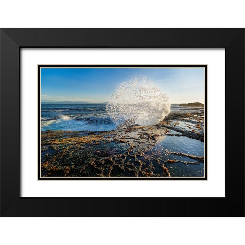 Splash II Black Modern Wood Framed Art Print with Double Matting by Kostka, Vladimir