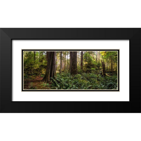Woods II Black Modern Wood Framed Art Print with Double Matting by Kostka, Vladimir