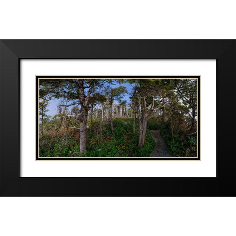 Woods III Black Modern Wood Framed Art Print with Double Matting by Kostka, Vladimir
