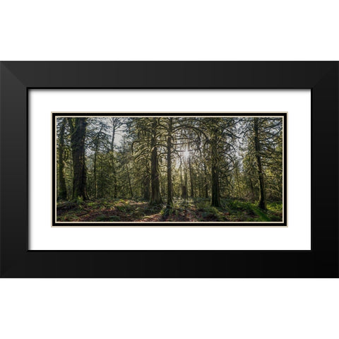 Woods IV Black Modern Wood Framed Art Print with Double Matting by Kostka, Vladimir