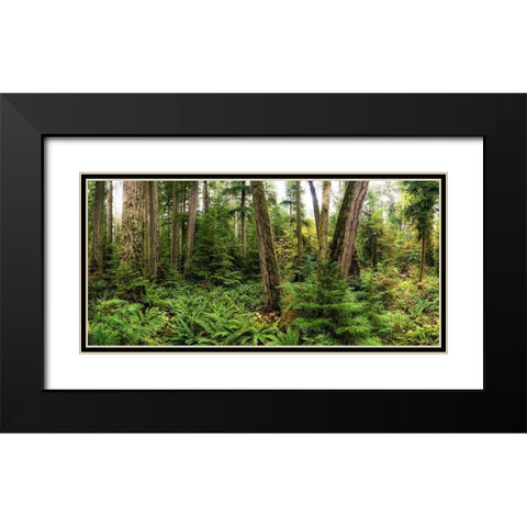 Woods V Black Modern Wood Framed Art Print with Double Matting by Kostka, Vladimir