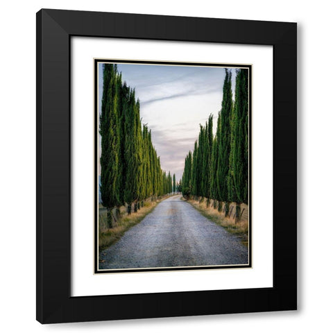 Cypresses Black Modern Wood Framed Art Print with Double Matting by Kostka, Vladimir