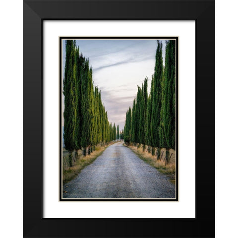Cypresses Black Modern Wood Framed Art Print with Double Matting by Kostka, Vladimir