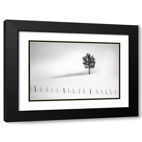 Tree And Fence Bw Black Modern Wood Framed Art Print with Double Matting by Kostka, Vladimir