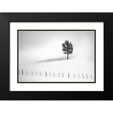 Tree And Fence Bw Black Modern Wood Framed Art Print with Double Matting by Kostka, Vladimir