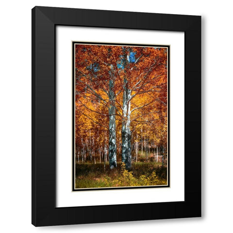 Autum Black Modern Wood Framed Art Print with Double Matting by Kostka, Vladimir