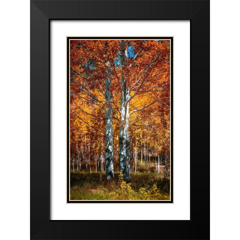 Autum Black Modern Wood Framed Art Print with Double Matting by Kostka, Vladimir