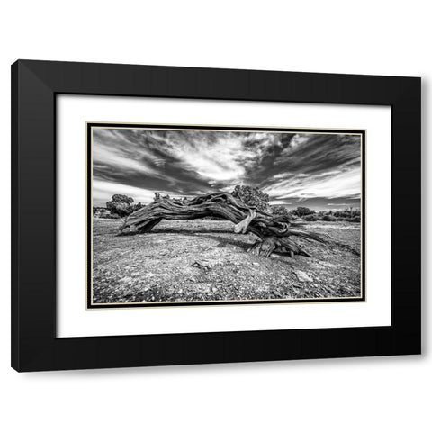 Bw Wood Black Modern Wood Framed Art Print with Double Matting by Kostka, Vladimir