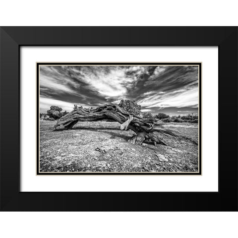 Bw Wood Black Modern Wood Framed Art Print with Double Matting by Kostka, Vladimir