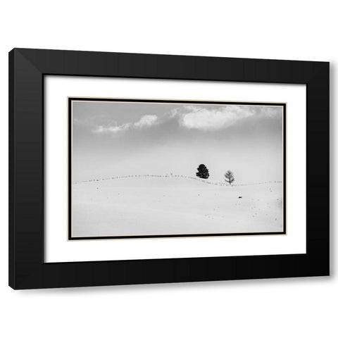 Lonely Trees Black Modern Wood Framed Art Print with Double Matting by Kostka, Vladimir