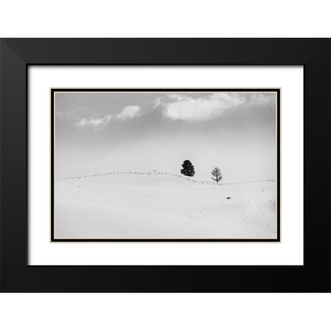 Lonely Trees Black Modern Wood Framed Art Print with Double Matting by Kostka, Vladimir