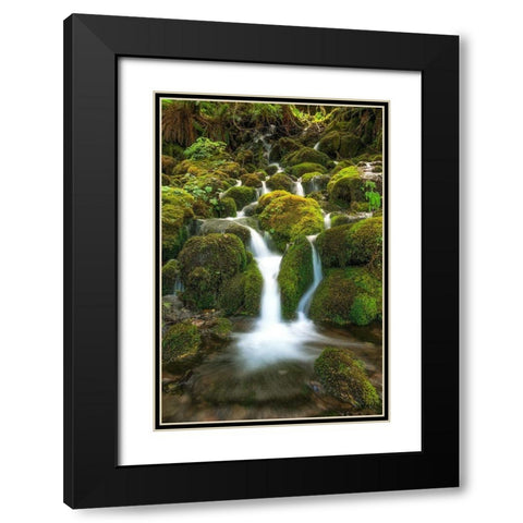 Waterfall I Black Modern Wood Framed Art Print with Double Matting by Kostka, Vladimir
