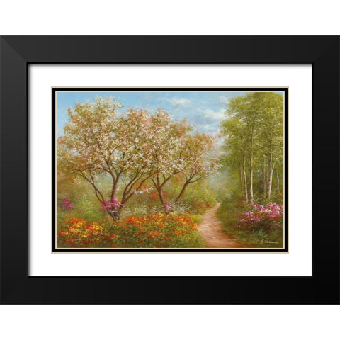 SUNLIGHT PATH Black Modern Wood Framed Art Print with Double Matting by Schoelnhammer, Heinz