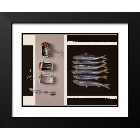 Toute Une Vie De Poisson Black Modern Wood Framed Art Print with Double Matting by Chamard, Jean-Marc