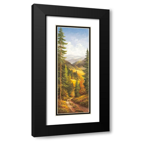 MIDDAY SKY I Black Modern Wood Framed Art Print with Double Matting by Glassl, Helmut
