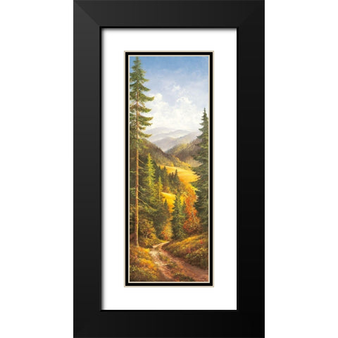 MIDDAY SKY I Black Modern Wood Framed Art Print with Double Matting by Glassl, Helmut