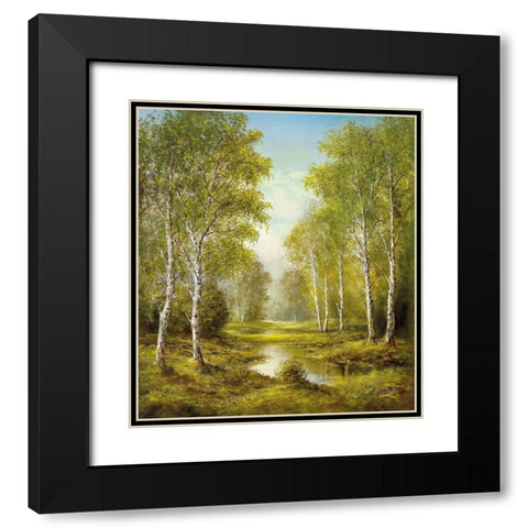 TRANQUILITY Black Modern Wood Framed Art Print with Double Matting by Glassl, Helmut