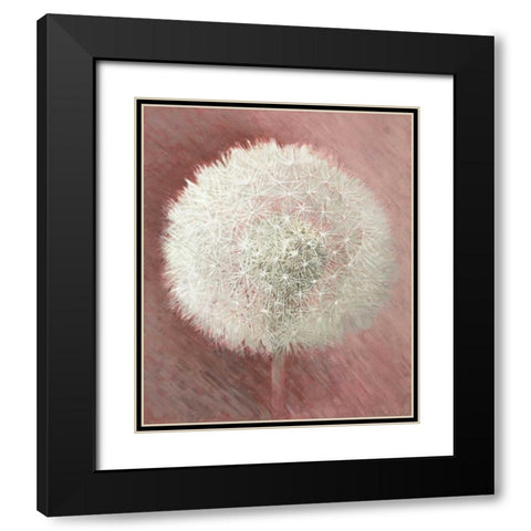 Dandelion Clock I Black Modern Wood Framed Art Print with Double Matting by Verdonck, Elisabeth
