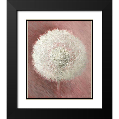Dandelion Clock I Black Modern Wood Framed Art Print with Double Matting by Verdonck, Elisabeth