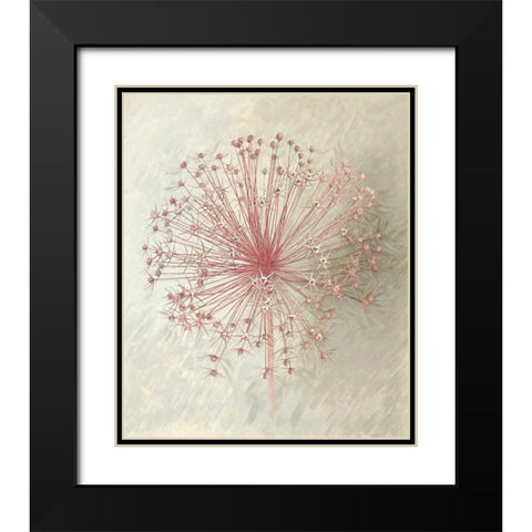 Allium Seedhead II Black Modern Wood Framed Art Print with Double Matting by Verdonck, Elisabeth