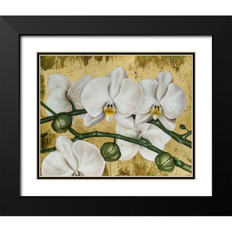 Flowers I Black Modern Wood Framed Art Print with Double Matting by Sedalia, David