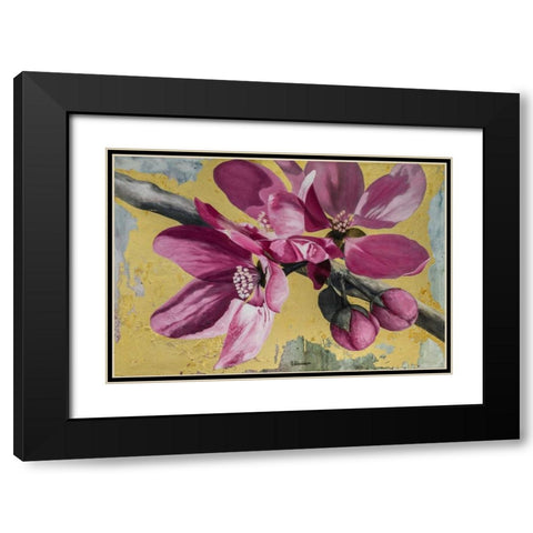Flowers IV Black Modern Wood Framed Art Print with Double Matting by Sedalia, David