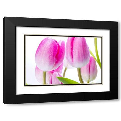 Pink I Black Modern Wood Framed Art Print with Double Matting by Warminski