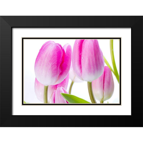 Pink I Black Modern Wood Framed Art Print with Double Matting by Warminski