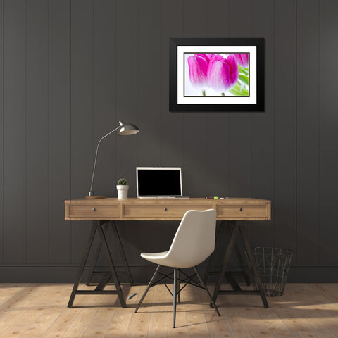 Pink II Black Modern Wood Framed Art Print with Double Matting by Warminski