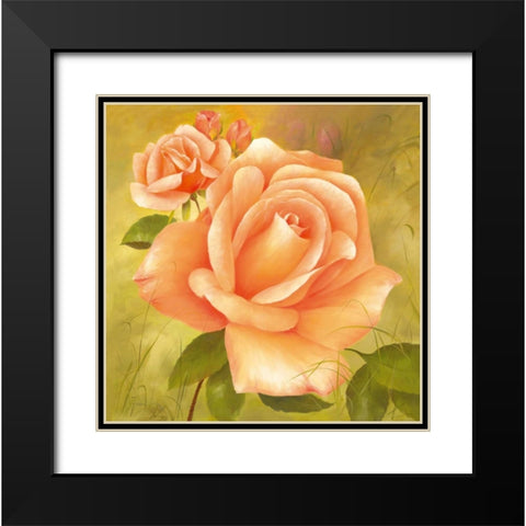 Splendour Black Modern Wood Framed Art Print with Double Matting by Fasani