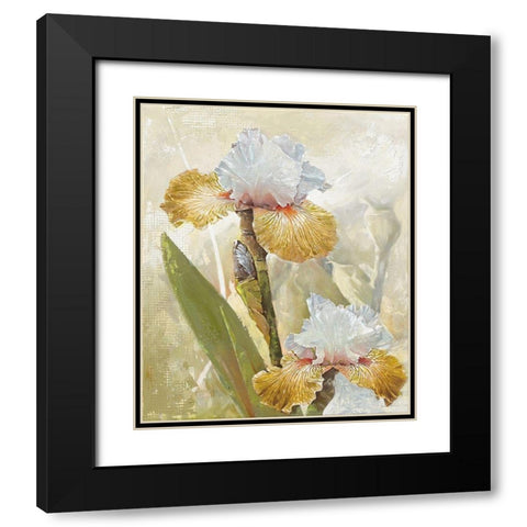 VANILLA IRIS II Black Modern Wood Framed Art Print with Double Matting by Sestillo, Enrico
