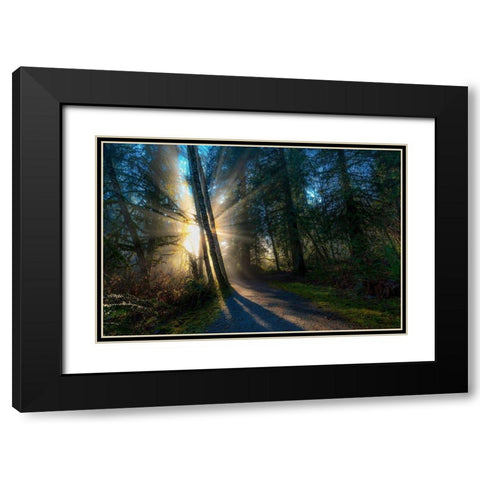 FOREST SUN RAYS Black Modern Wood Framed Art Print with Double Matting by Kostka, Vladimir