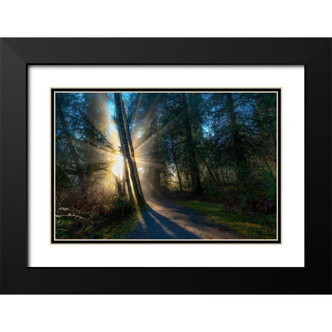 FOREST SUN RAYS Black Modern Wood Framed Art Print with Double Matting by Kostka, Vladimir