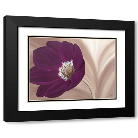 Velvet Anemone Black Modern Wood Framed Art Print with Double Matting by Lake, Kaye
