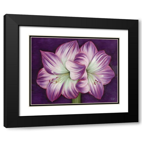 Purple Amaryllis Black Modern Wood Framed Art Print with Double Matting by Lake, Kaye