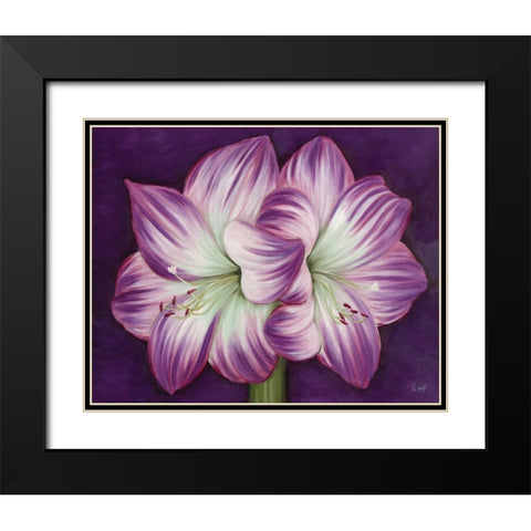 Purple Amaryllis Black Modern Wood Framed Art Print with Double Matting by Lake, Kaye
