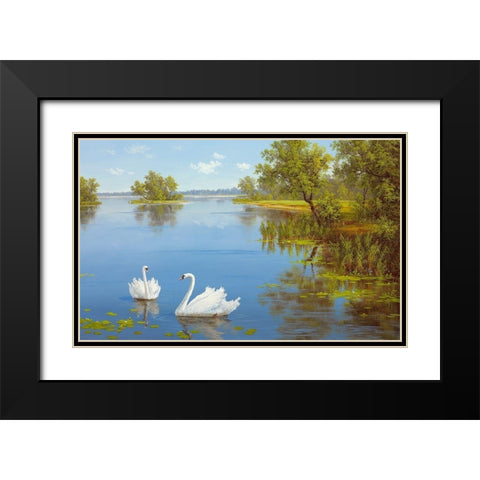 SWANS ON THE LAKE Black Modern Wood Framed Art Print with Double Matting by Slava