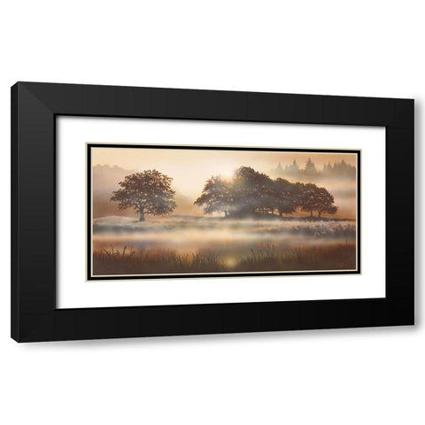 RURAL STUDY II Black Modern Wood Framed Art Print with Double Matting by Walsh, Peter