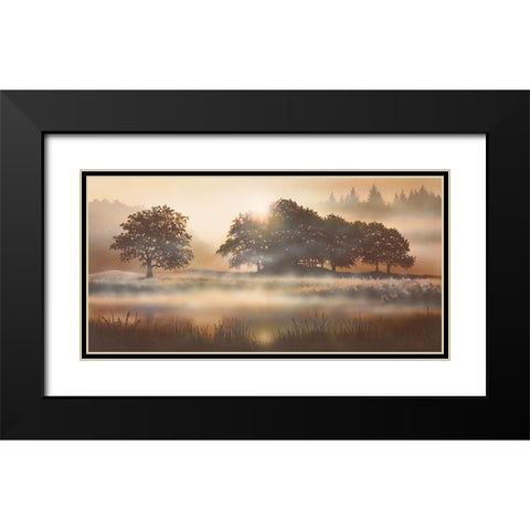RURAL STUDY II Black Modern Wood Framed Art Print with Double Matting by Walsh, Peter
