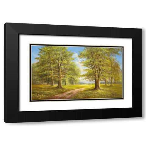 ROMANTIC LANE I Black Modern Wood Framed Art Print with Double Matting by Glassl, Helmut