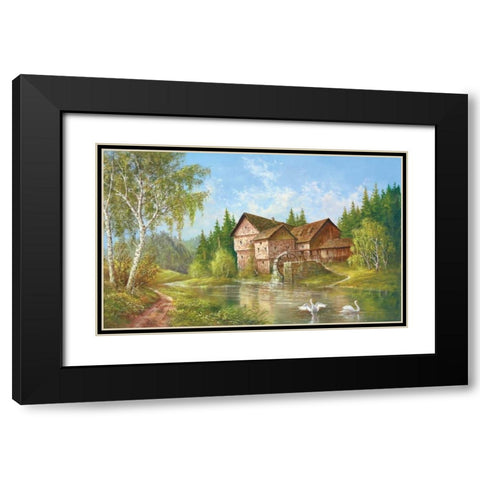 Mill With Swans Black Modern Wood Framed Art Print with Double Matting by Glassl, Helmut