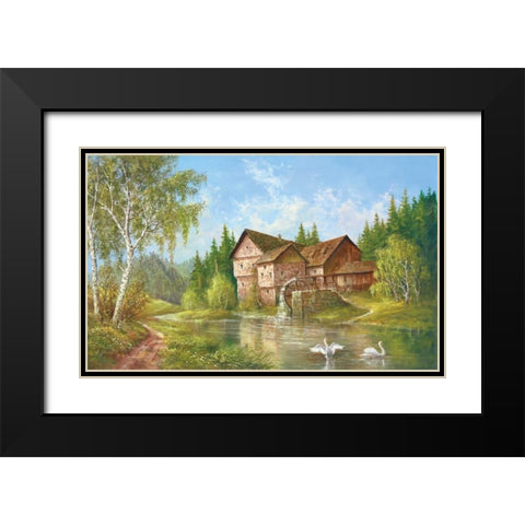 Mill With Swans Black Modern Wood Framed Art Print with Double Matting by Glassl, Helmut